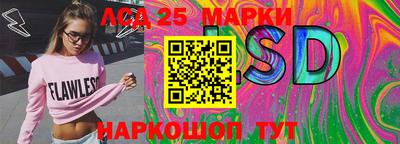 мдпв Гудермес