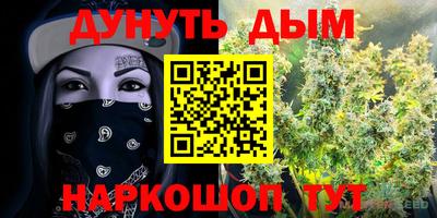 мдпв Гудермес