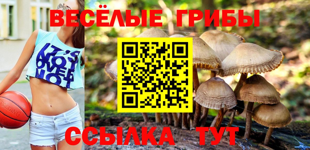 Псилоцибиновые грибы Magic Shrooms Вичуга