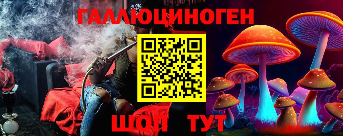 Галлюциногенные грибы Psilocybe  Вход с VPN  Псилоцибиновые грибы мицелий  Вичуга 