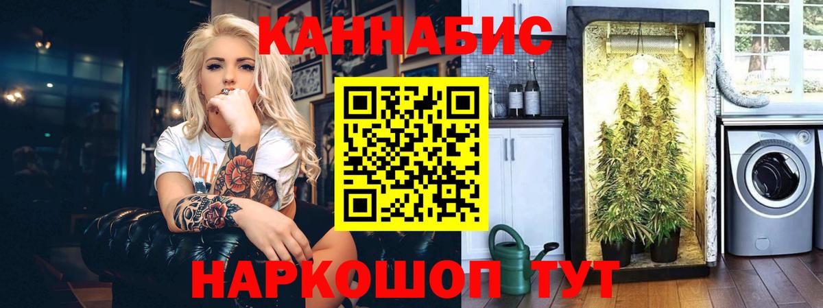 Бошки Шишки LSD WEED  Конопля план  МАРИХУАНА семена  Вичуга  Вход с VPN 